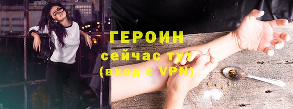 соль ск Дмитриев