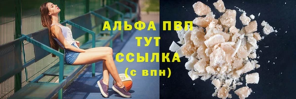 соль ск Дмитриев