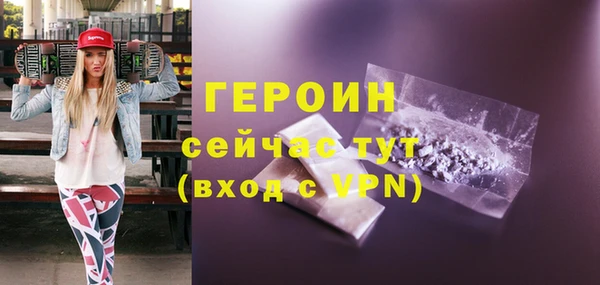 индика Ельня