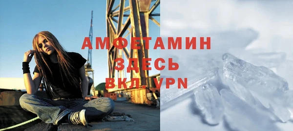 индика Ельня