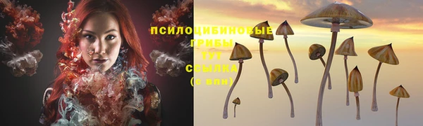 соль ск Дмитриев