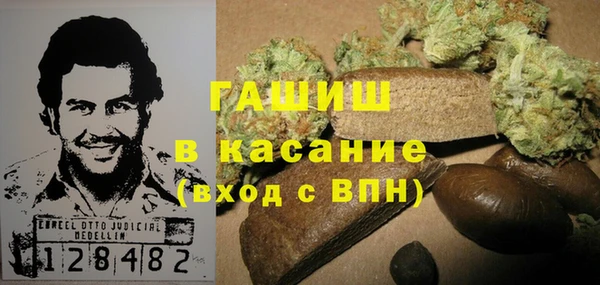 соль ск Дмитриев