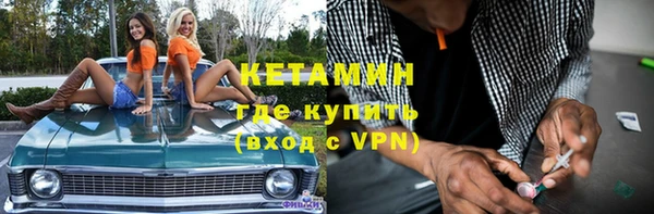 соль ск Дмитриев