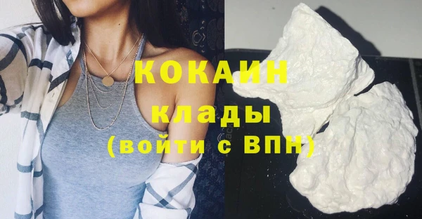 индика Ельня