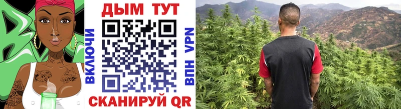 Бошки Шишки тримм  OMG зеркало  Рубцовск 